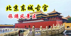 操逼视频把很长的东西插进去潮喷射进中国北京-东城古宫旅游风景区
